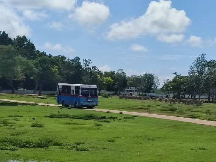 Informan cierre temporal del Complejo Parque Zoológico Nacional